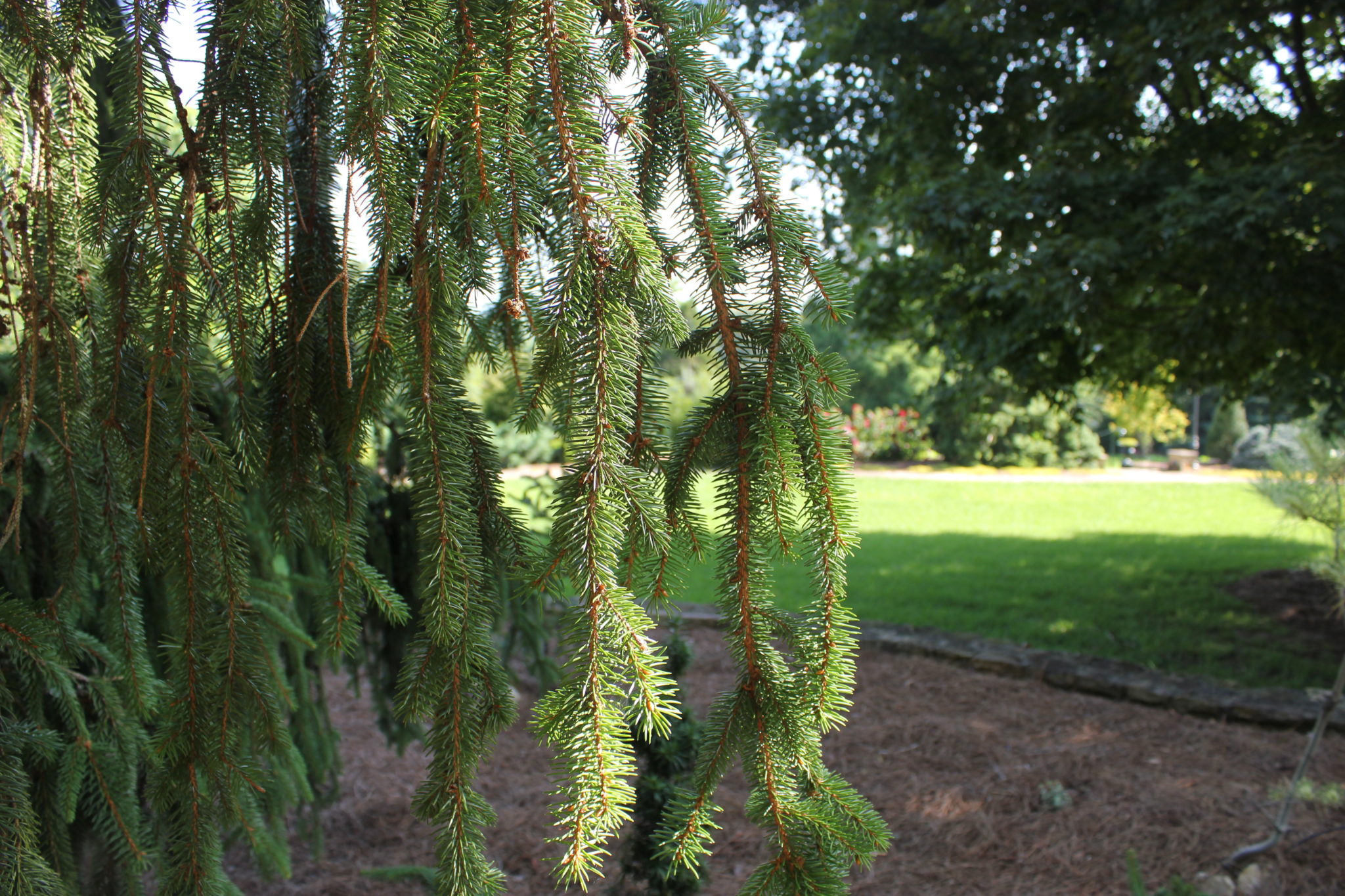 Jerry E Baker Foundation Baker Arboretum